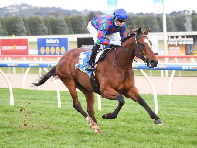 Chief Altony ridden by Jye McNeil wins the Sportsbet Same Race Multi BM70 Handicap at Sportsbet-Ballarat Racecourse on May 19, 2021 in Ballarat, Australia. (Pat Scala/Racing Photos via Getty Images)