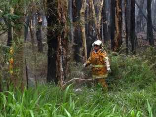 Firefighters battle a fire burning at Linneaus north of Lennox Head. Picture: Alison Paterson