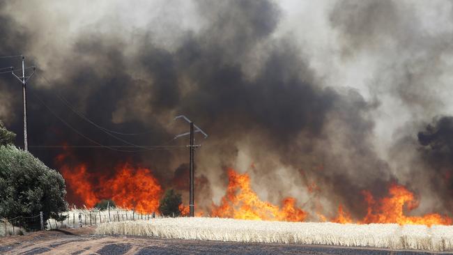 A flare up near Hamley Bridge in the Mid North during the Pinery Bushfire, which claimed two lives. Picture: Simon Cross