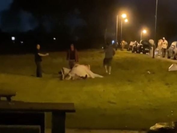 Zoe Dallimore, 31, said she was trying to stop strangers from ruining her big day when she was filmed in a brawl while on her way home from her wedding reception in South Wales. Picture: Reddit