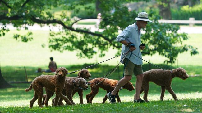 We don’t really need a Central Park, writes Tony Cochrane. / AFP PHOTO / Don EMMERT