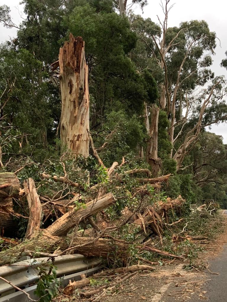 Trentham-Daylesford Rd, Lyonville. Picture: Merrilyn Hunt