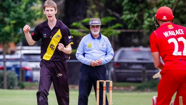 Sam Mills celebrates the wicket of Michael Wallace. Picture: Luke Shelley