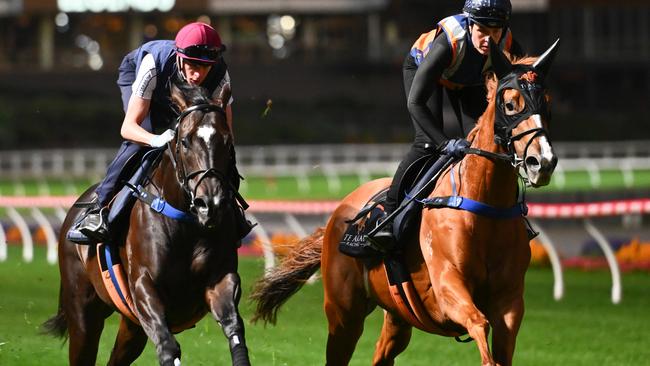 Imperatriz (left) gallops with Sans Doute at The Valley on Monday. Photo: Vince Caligiuri/Getty Images.