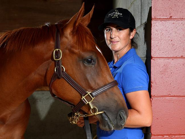 Magis Millions rac e and sales event is about to start and Daandine Stud stable hand Sarah McCann is pictured with Lot 357 a Chestnut Filly by Real Saga (Sire) and Kitalpha (Dame) Pic by David Clark