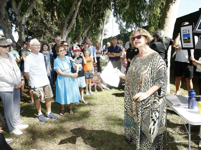 Then councillor now Waverley mayor Paula Masselos speaks at one of the protest rallies. Picture: John Appleyard