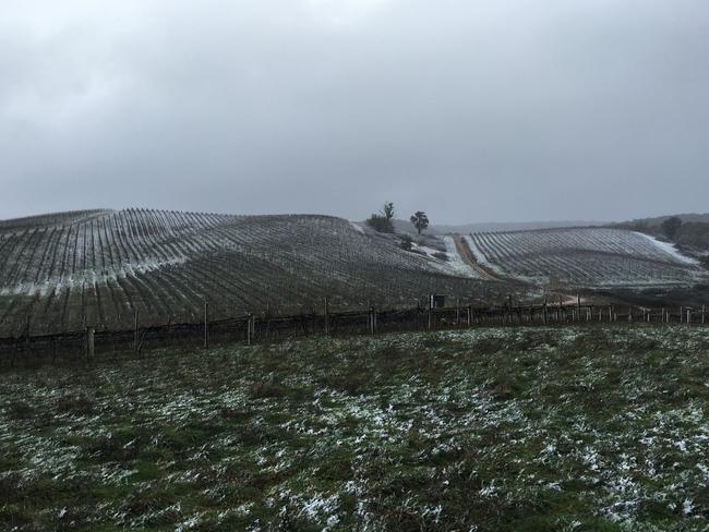 The cool-climate Tumbarumba wine region.