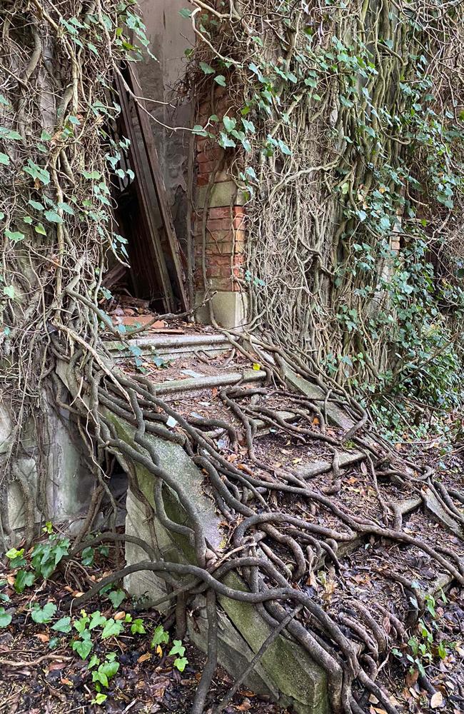 The natural world has reclaimed what was left of the old buildings since the island was abandoned. Picture: Caters