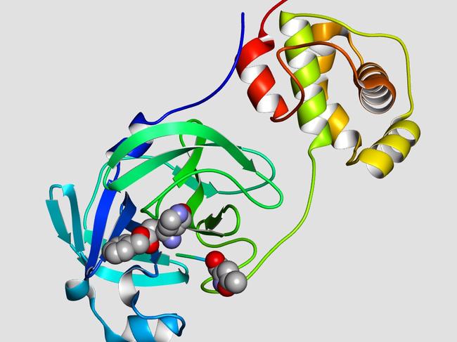 Image of COVID-19 (Coronavirus) taken by the Synchrotron Melbourne.Protein Data Bank (PDB) ID: 6LU7Zhenming Jin, Xiaoyu Du, Yechun Xu, Yongqiang Deng, Meiqin Liu et. al.,Structure of main protease (Mpro) from COVID-19 virus and discovery of its inhibitors.Biorxiv, 2020