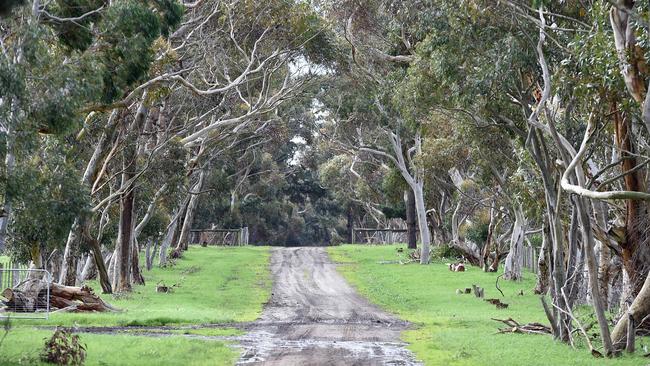 Ingleby Estate with owner Georgie Thomson. She recently bought the property and is renovating it to reopen to the public.