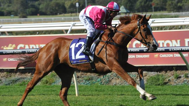 Ascot Races on December 6: Real Love ridden by William Pike wins. Picture: File image