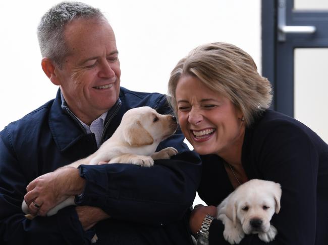 Bill Shorten and Kristina Keneally play with Labrador puppies Bill and Beau during a visit to Guide Dogs Victoria during the campaign. Picture: Lukas Coch/AAP