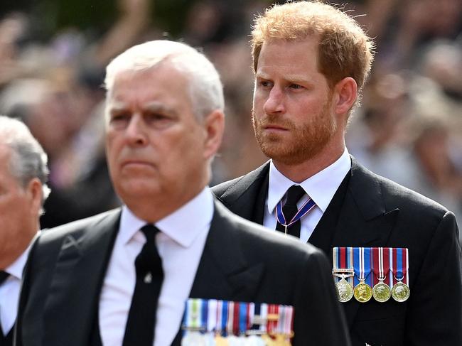 Prince Andrew, Duke of York and Prince Harry, Duke of Sussex are non-working royals who might be stripped of their roles under a possible law change. Picture: AFP