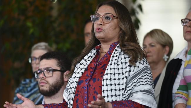 Mehreen Faruqi has called on the government to do more. Picture: NCA NewsWire / Martin Ollman