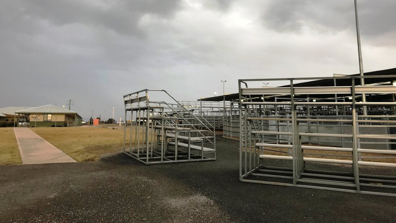 Sprinkling of rain offers minor relief for some New South Wales farmers