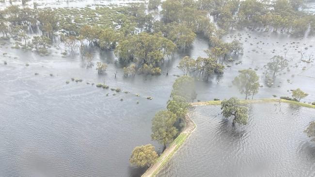 Low-lying areas at the junction of the Loddon and Murray rivers could be filled with stagnant water for months. Picture: Supplied