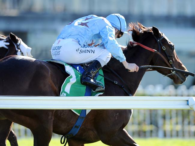 Blake Shinn pilots Eirka to a brave victory along the fence. Picture: Simon Bullard