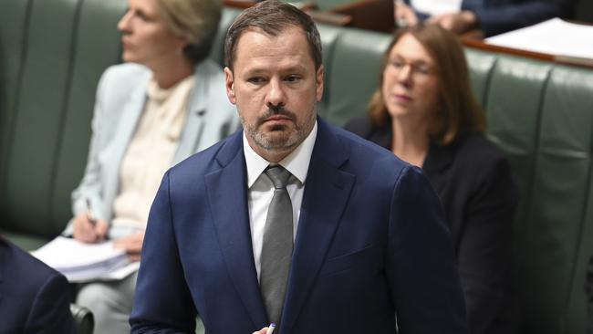 Labor frontbencher Ed Husic. Picture: NCA NewsWire / Martin Ollman