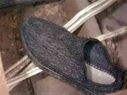 An Adidas sneaker found in a roof cavity became a key piece of evidence against Lindrea. Photo: Supplied
