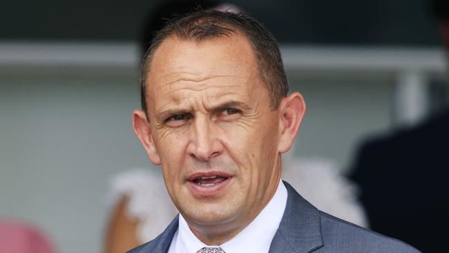 Chris Waller prepares imported gelding Fiordland who can end the day on a high note at Gosford. Picture: Getty Images