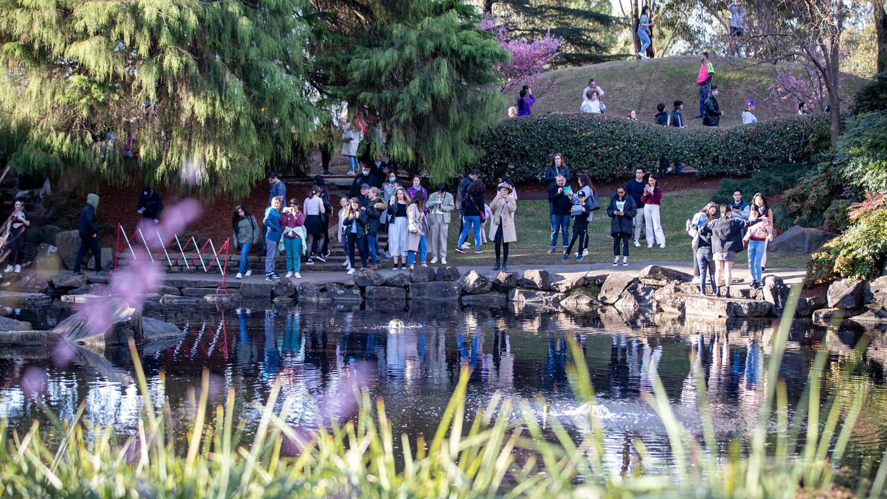 Fortunately Sydney bathed in sunshine all weekend. Picture: Christian Gilles