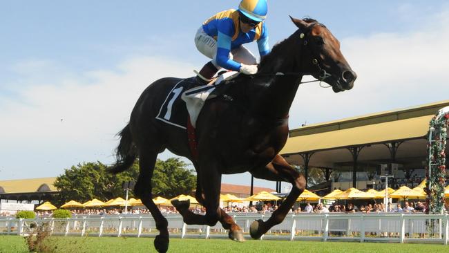 Winning Rupert demolishes his rivals winning at Eagle Farm. Picture: Grant Peters