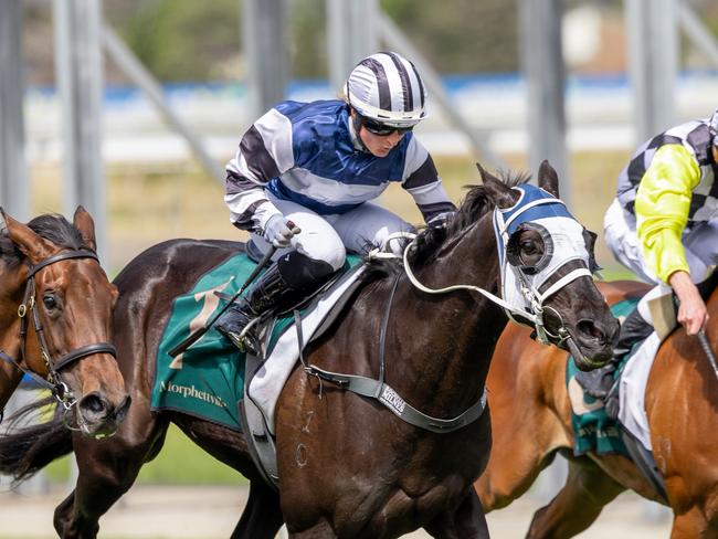 Tippa, ridden by Rochelle Milnes, wins at Morphettville last-start. Picture: Makoto Kaneko