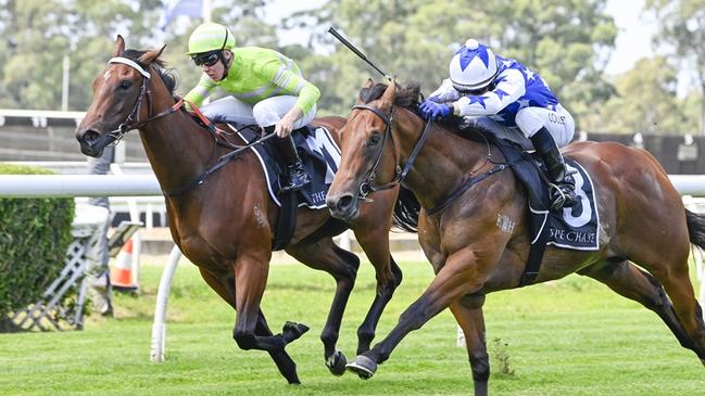 Savvy Hallie (left) will needs some luck from a wide barrier in the Reisling Stakes at Randwick. Picture: Bradley Photos