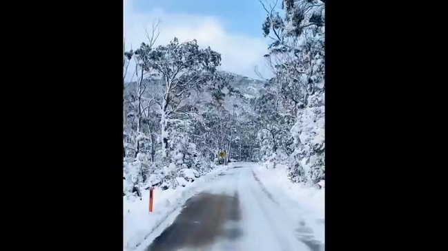 Snow Blankets Tasmanian Bush as Antarctic Wintry Blast Hits Southern Australia