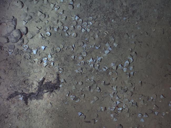 Tea cups at the wreck site. Picture: REMUS image/Woods Hole Oceanographic Institution