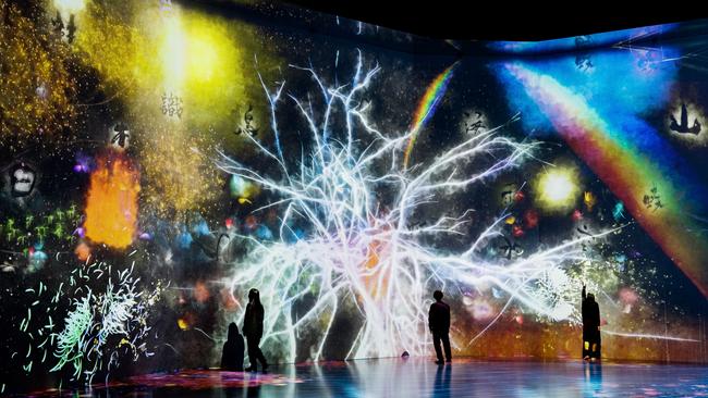 A stunning artwork by teamLab.