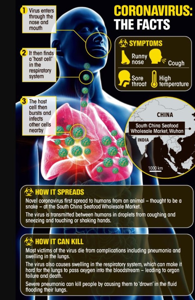 Coronavirus: The facts you need to know.