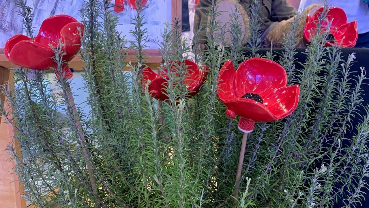 The Flanders poppies will be planted on the grassed slope of the Light Horse Memorial, Hervey Bay, for Anzac Day. Photo: Kerrie Alexander.