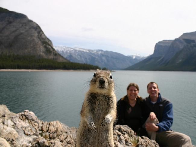  This cheeky rodent knows how to photobomb. Melissa Brandt, left, submitted the photo to a competition called Your Shot with NationalGeographic.com. Picture: Supplied 