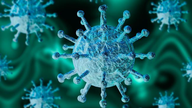 A Darwin woman in her 30s has tested positive for coronavirus after returning to the Territory from North America.