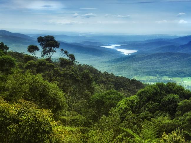 SM Looking Forward - Views over Lamington National Park to Hinze Dam in Queensland's Gold Coast hinterland