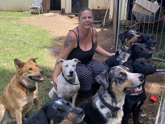 “My babies”: Annette Clifford rescued all eight of her dogs from various environments, including from dog fighting rings. Photo: Elizabeth Neil