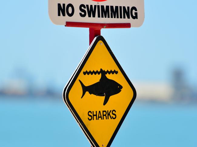 Barbaric demand after shark attack death