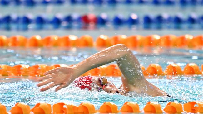 QGSSSA swimming championships Thursday February 29, 2024. Picture, John Gass