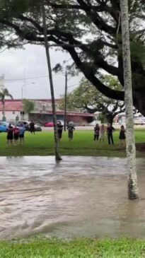 Crocodile spotted in middle of Ingham