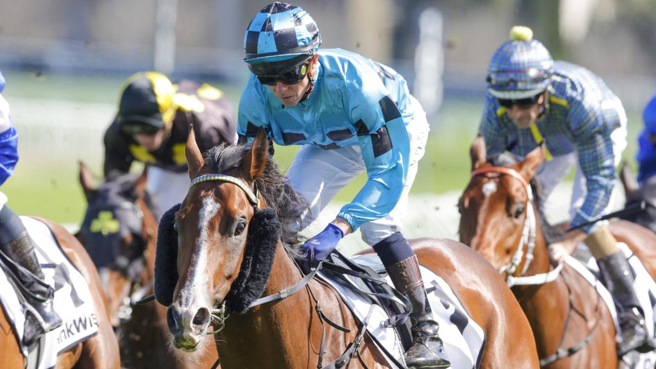 Williamsburg thrives on wet tracks and looks tough to beat at Warwick Farm on Wednesday. Picture: Getty Images