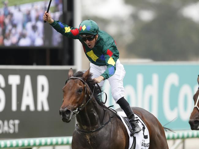 GOLD COAST, AUSTRALIA - JANUARY 11: Ryan Maloney rides Alligator Blood to victory int he $2 Milion Gold Coast Magic Millions 3YO Guineas race during the 2019 Magic Millions at the Gold Coast Turf Club on January 11, 2020 in Gold Coast, Australia. (Photo by Regi Varghese/Getty Images)