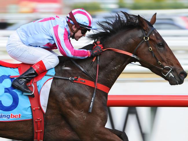 MELBOURNE, AUSTRALIA - MAY 25: Dean Yendall riding Akavoroun wins the Jimjoca Handicap during Melbourne Racing at Caulfield Racecourse on May 25, 2013 in Melbourne, Australia. (Photo by Vince Caligiuri/Getty Images)