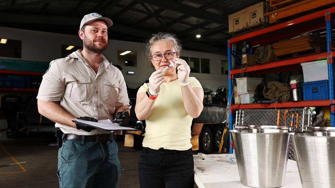 Cairns Crocs: Dna Study To Detect Crocodiles In Fnq Rivers 