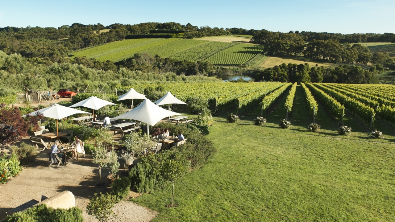 5 Of The Best Mornington Peninsula Wineries | Escape.com.au