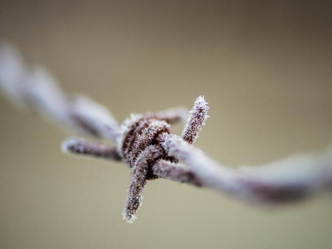 NEWS: Central Victorian FrostFirst big frost for the season at Lancefield.Barbed wire