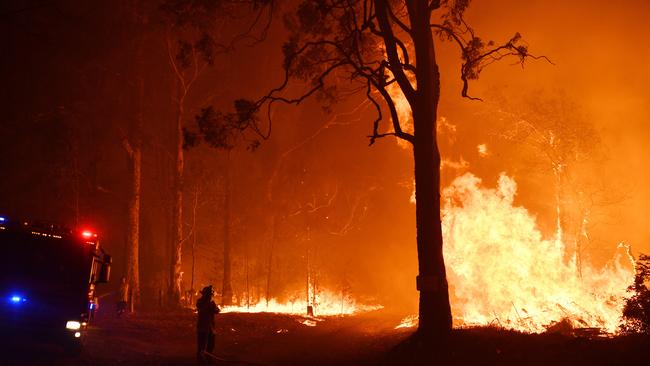 Firefighters on the South Coast have had their hands full.