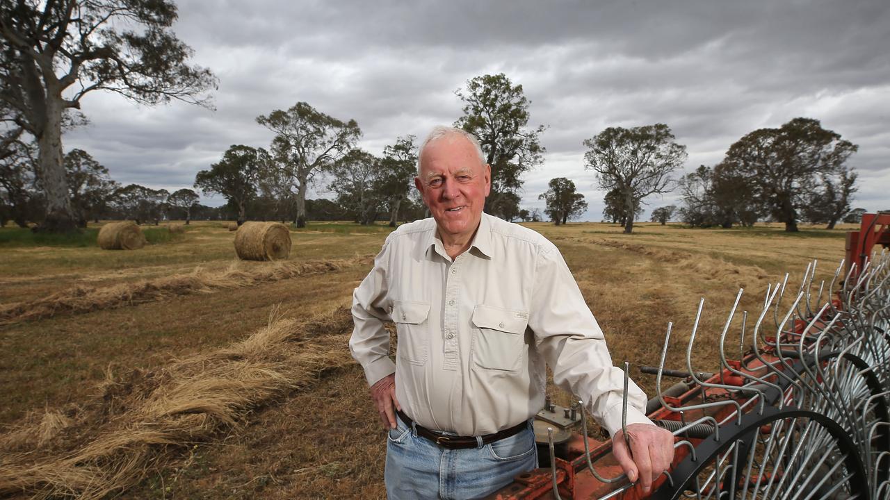 Herd headquarters: John Wyld, at Koolomurt, with his Herefords, which are finished in South Gippsland along with black baldies. Picture Yuri Kouzmin