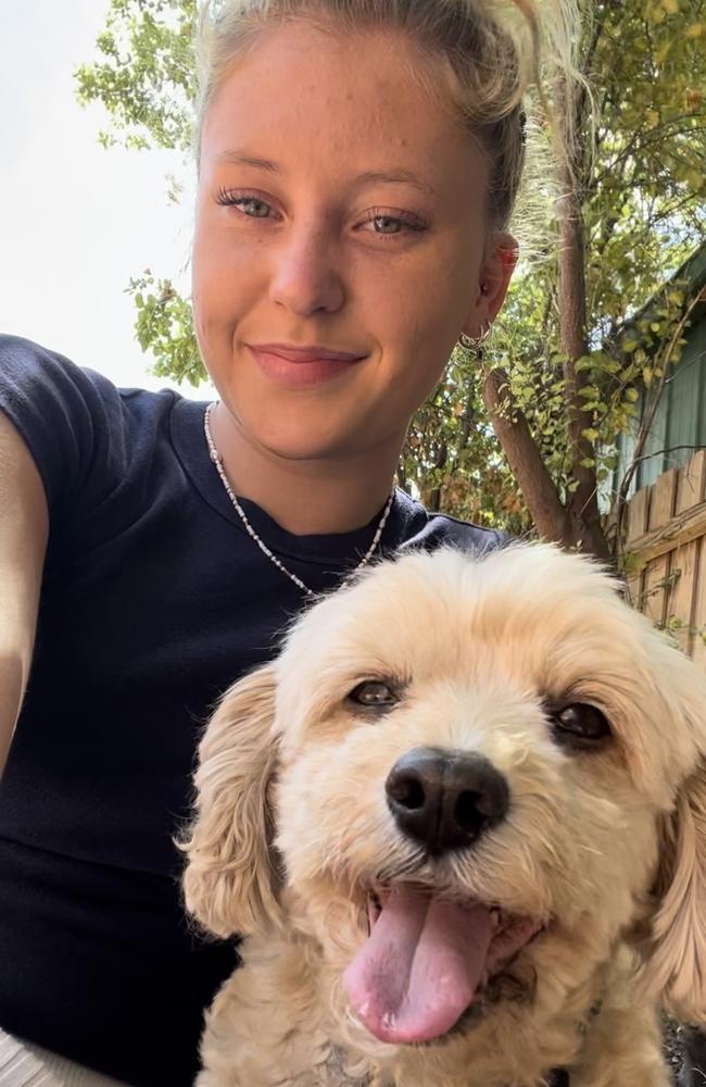 Cavoodle Gerry was on a walk with his owner Jasmine Hannett, pictured, when he was bitten by another dog at a popular Torquay beach.