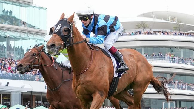 Smokin' Romans won the Queen Elizabeth Stakes at Flemington, his first since the 2022 Turnbull Stakes. Picture: George Sal/Racing Photos via Getty Images